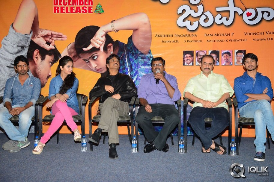 Uyyala-Jampala-Movie-Press-Meet-